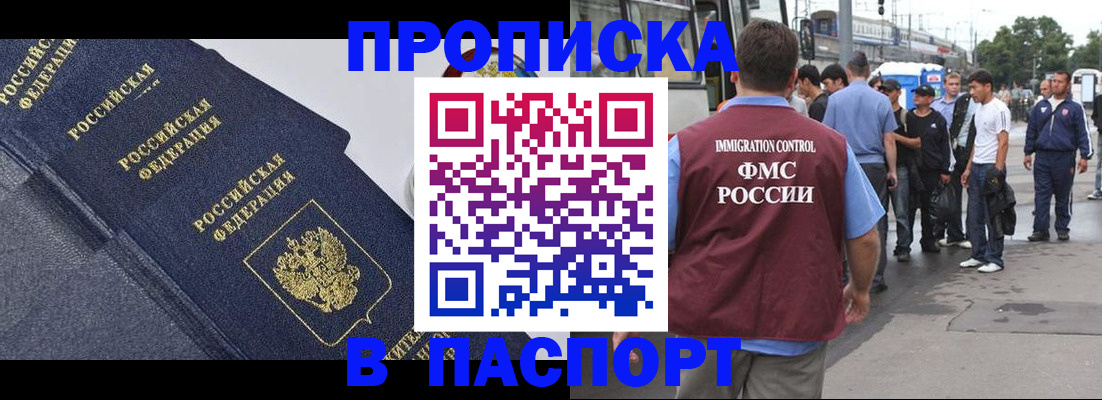 где прописаться в Михайловке